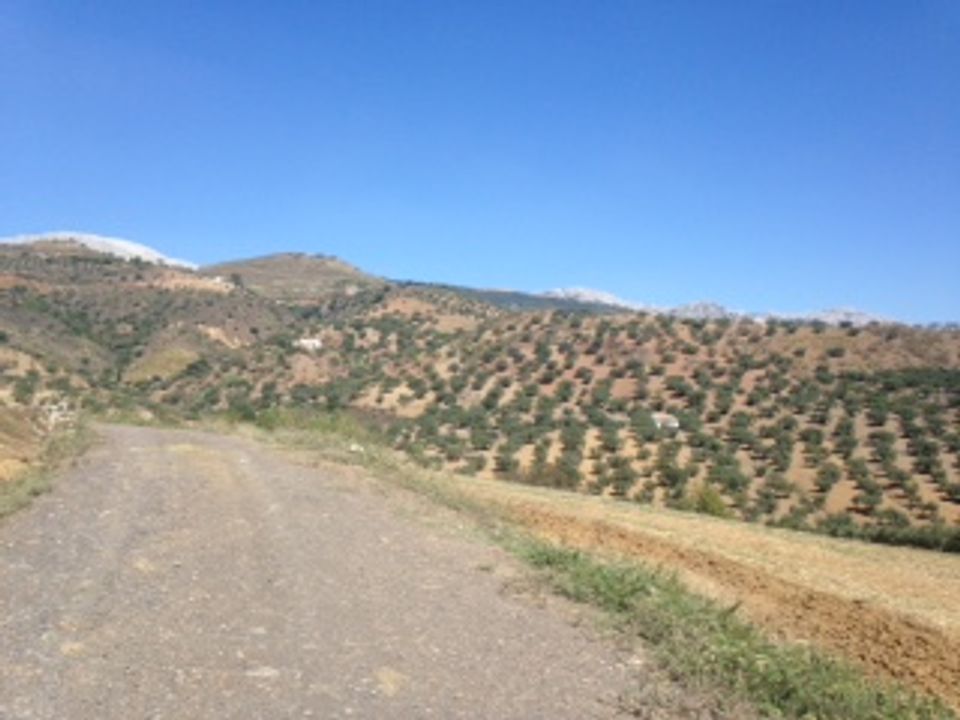 Terra a Colmenar, Malaga - foto 5