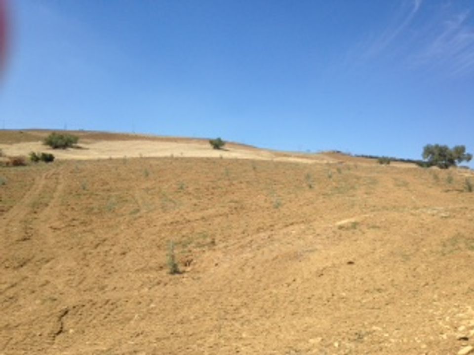 Terra a Colmenar, Malaga - foto 3