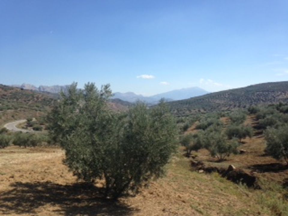 Terra a Colmenar, Malaga - foto 1