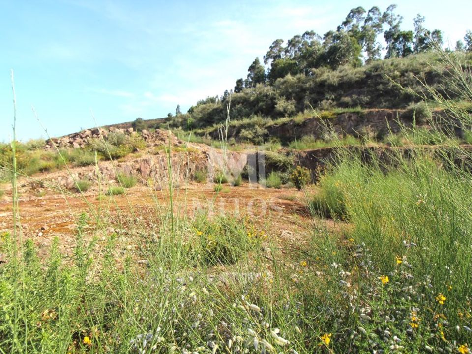 Helårsgrund i Barroselas, Viana do Castelo - foto 5
