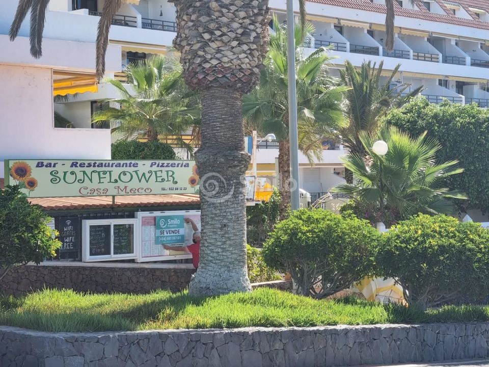 Erhvervsejendom i Guia De Isora, Tenerife - foto 3