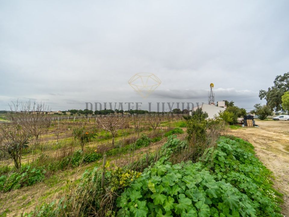 Farm i Palmela, Setubal - foto 3