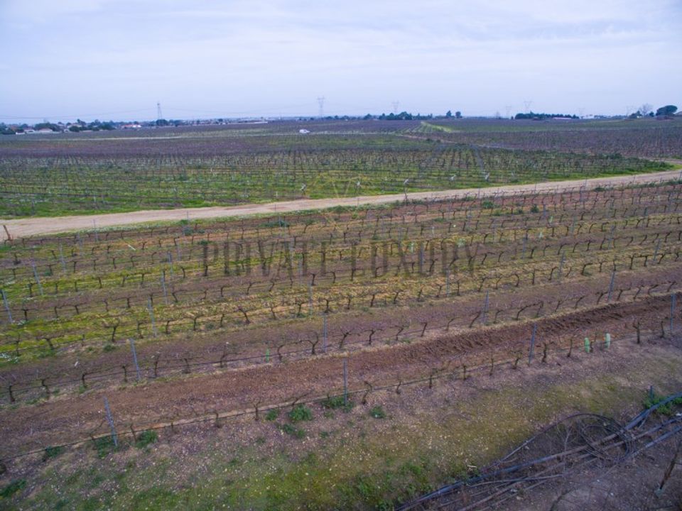 Farm i Palmela, Setubal - foto 2