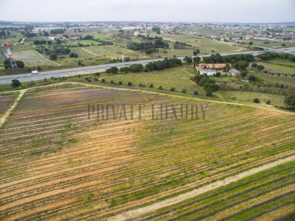 Farm i Palmela, Setubal - foto 4