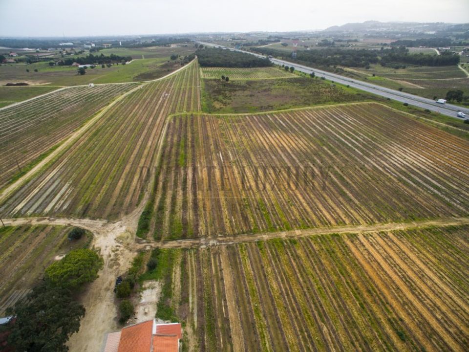 Farm i Palmela, Setubal - foto 5