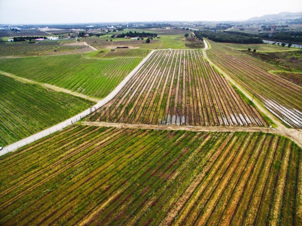 Farm i Palmela, Setubal - foto 1