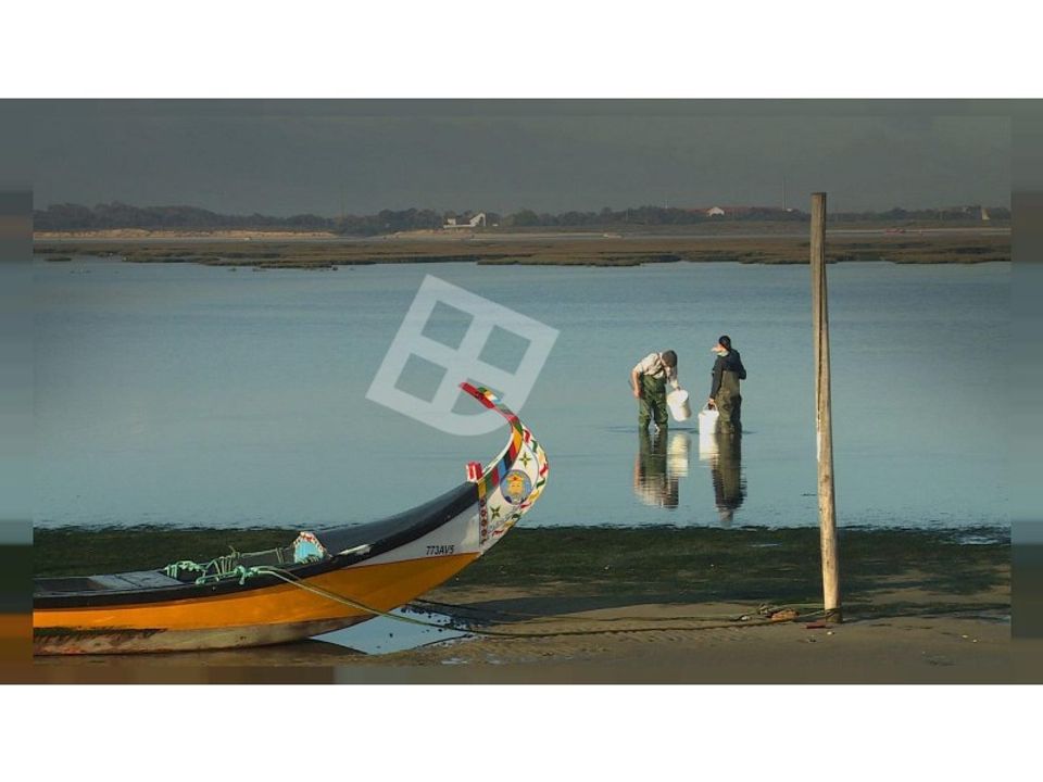 Helårsgrund i Ilhavo, Aveiro - foto 5