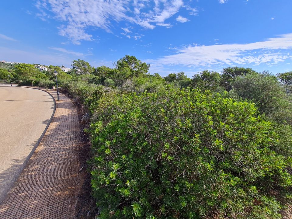 Helårsgrund i Cala d'Or, Mallorca - foto 4