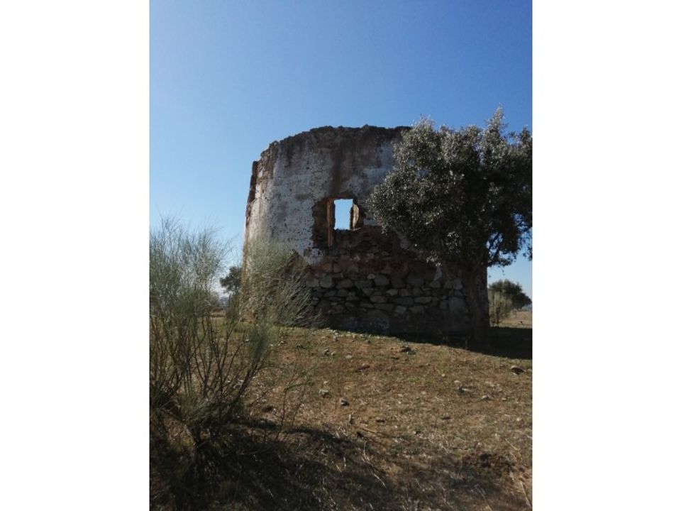 Helårsgrund i Beja, Beja - foto 5