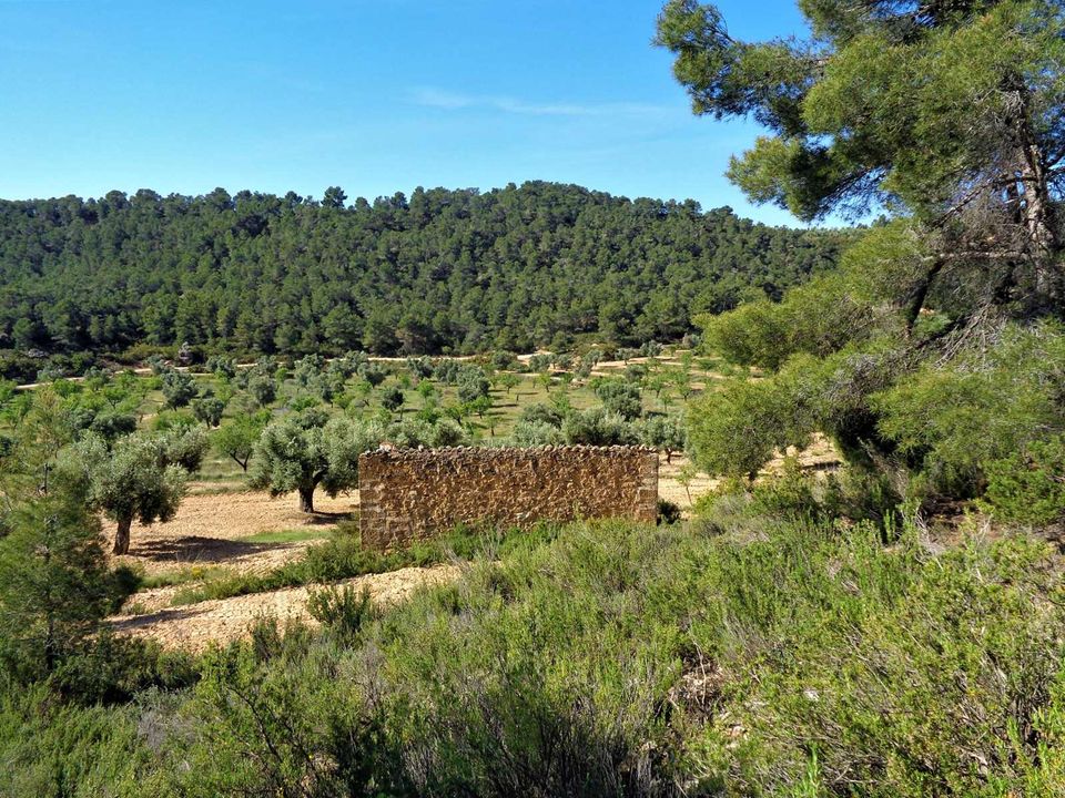 Finca i Maella, Zaragoza - foto 1