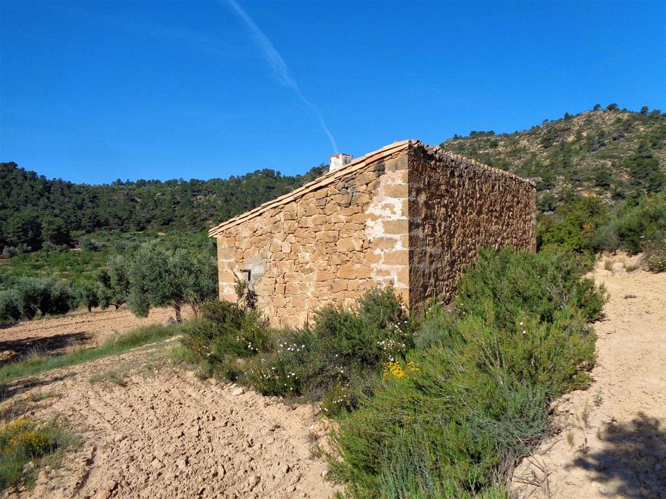 Finca i Maella, Zaragoza - foto 4