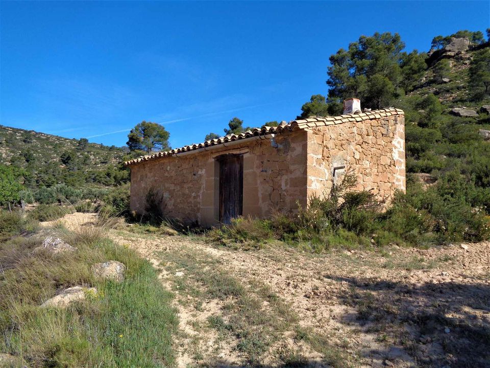 Finca i Maella, Zaragoza - foto 5