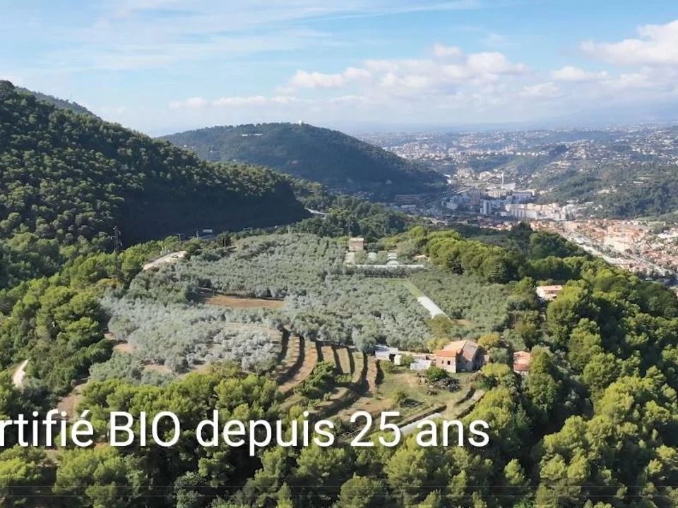 Landejendom i La Trinité, Alpes-Maritimes - foto 2