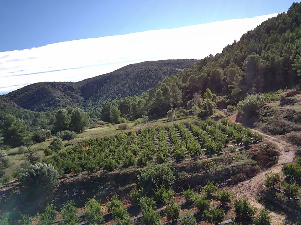 Helårsgrund i Orba, Alicante - foto 3
