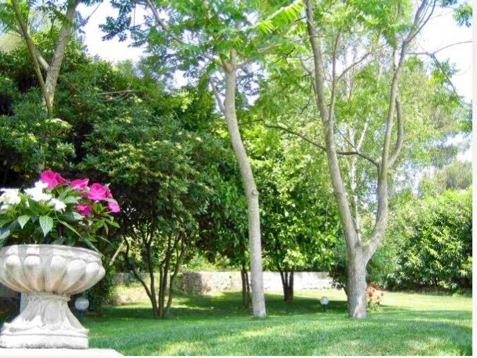 Villa i Mougins, Alpes-Maritimes - foto 4