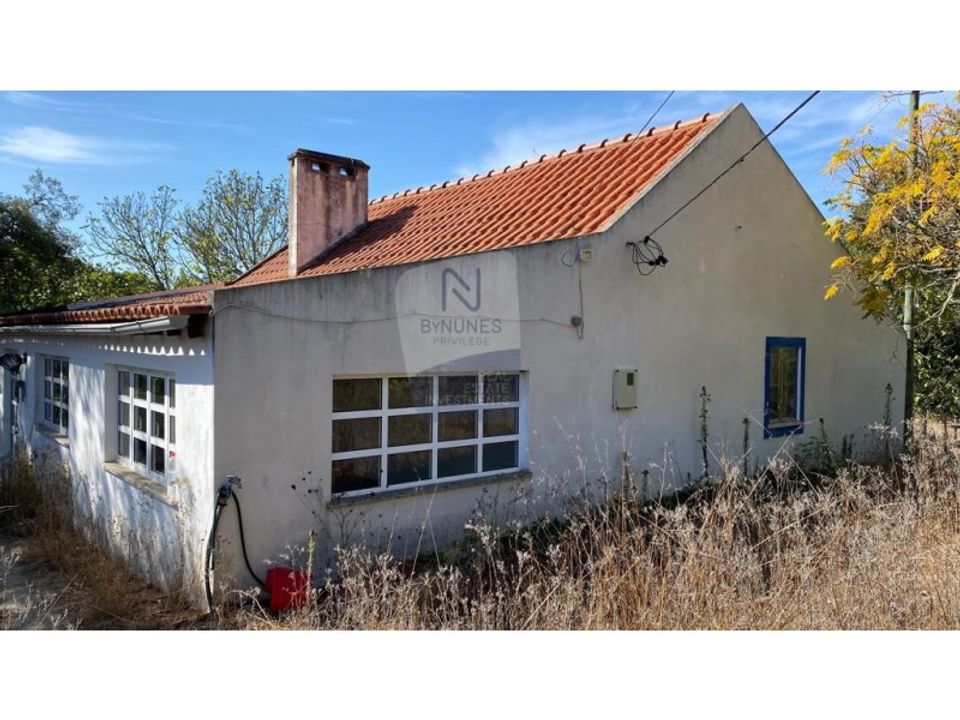 Farm i Coruche, Santarem - foto 2