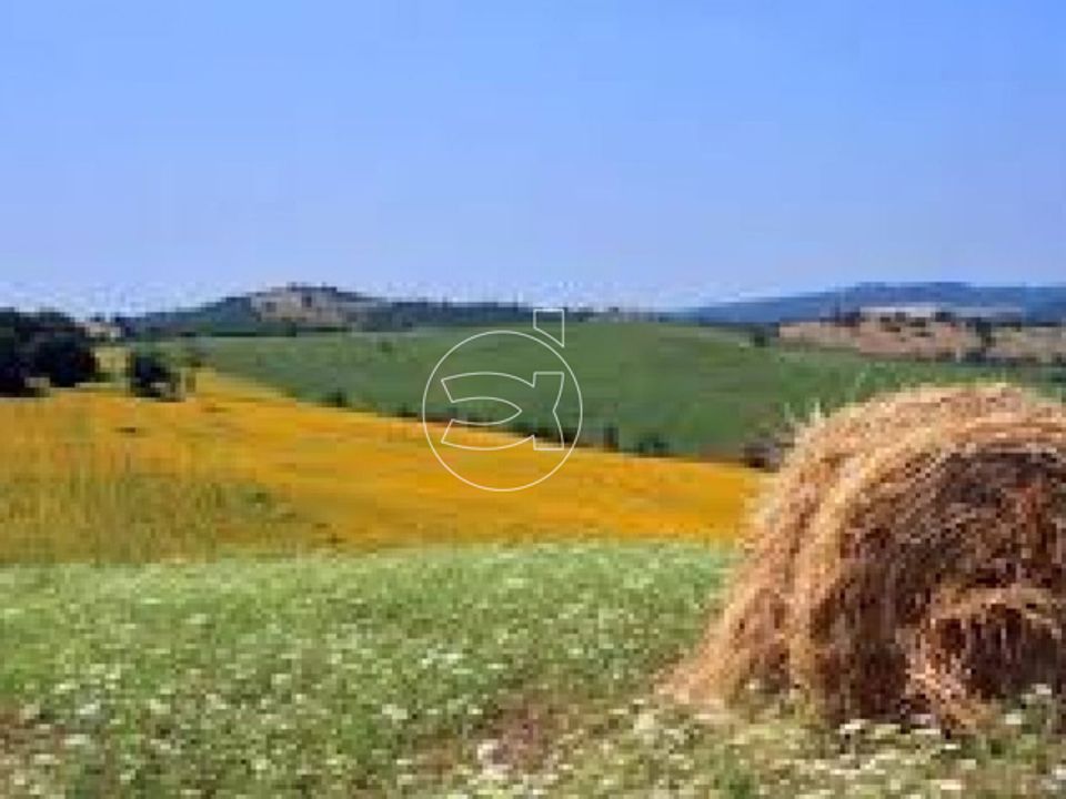Landejendom i Gavorrano, Grosseto - foto 2