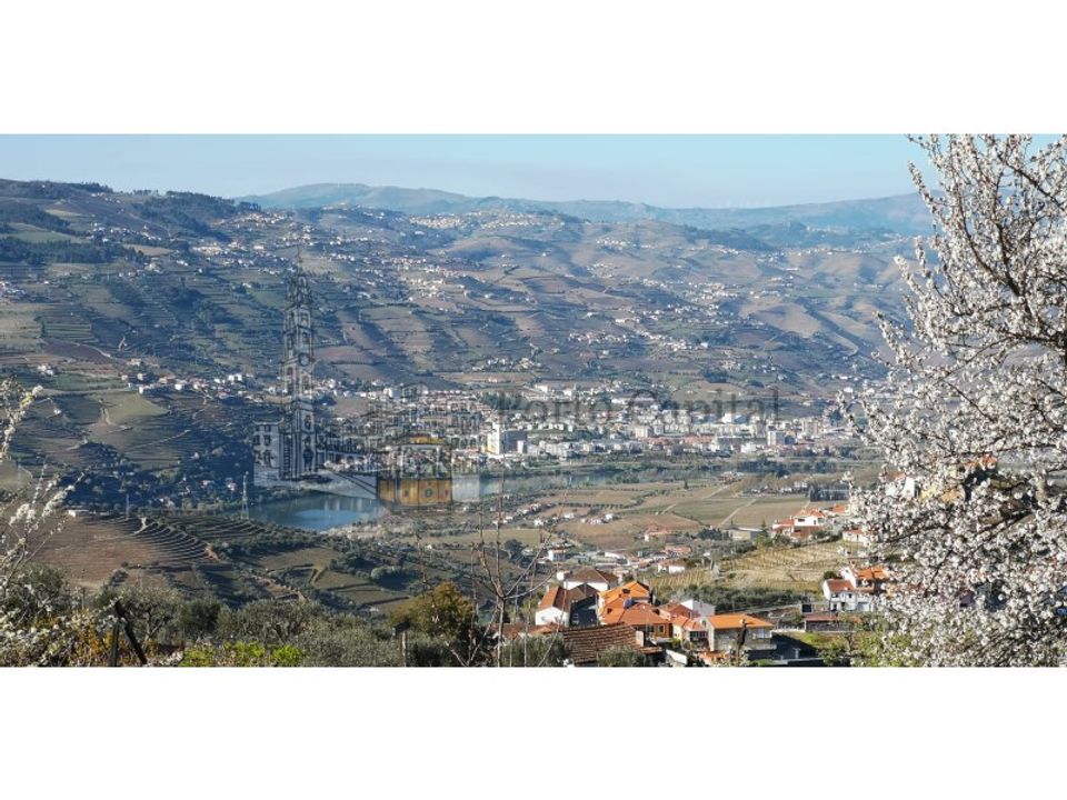 Farm i Lamego, Viseu - foto 1