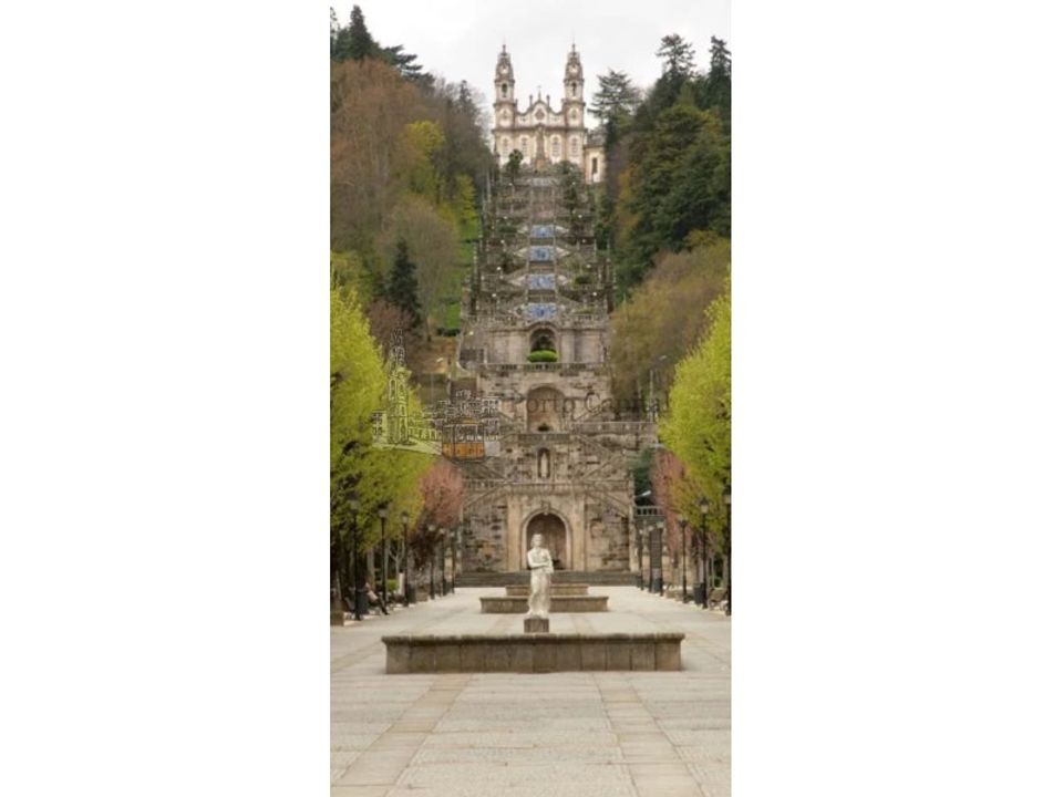 Farm i Lamego, Viseu - foto 3