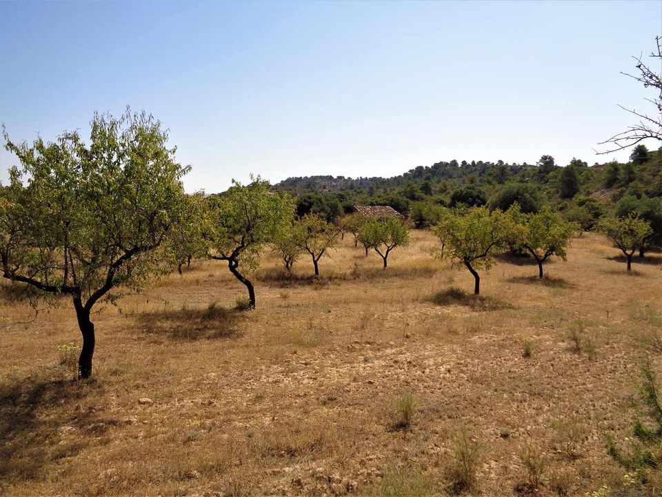 Finca i Maella, Zaragoza - foto 3