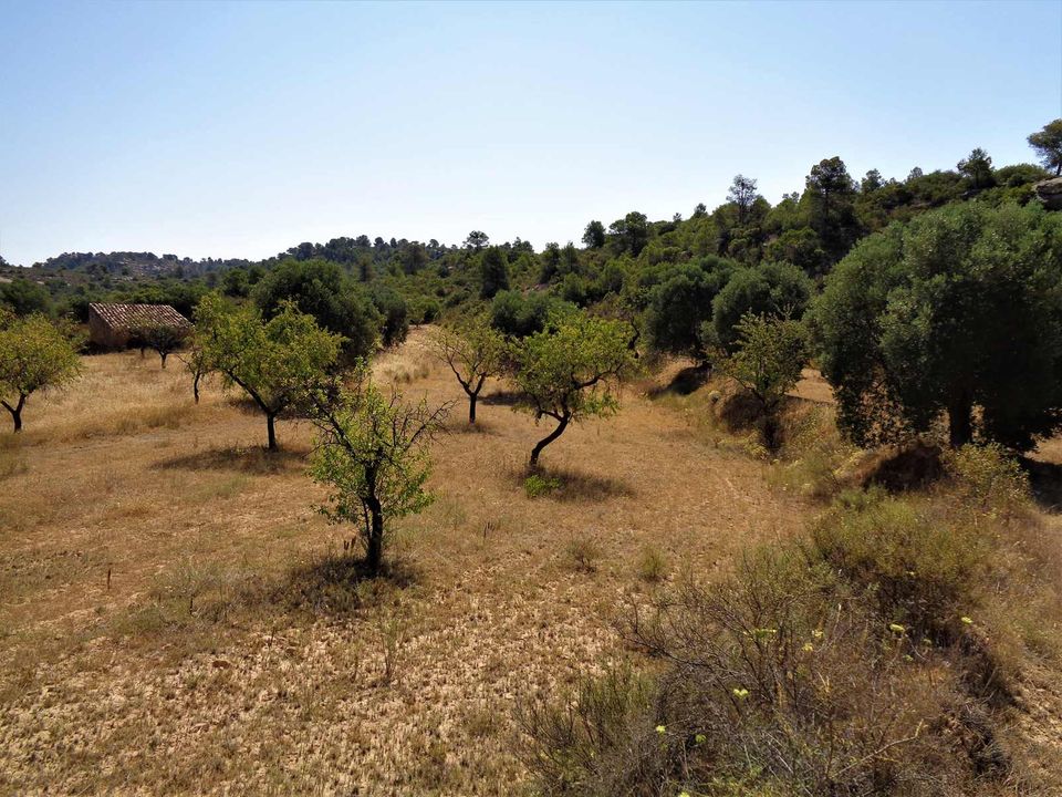 Finca i Maella, Zaragoza - foto 1