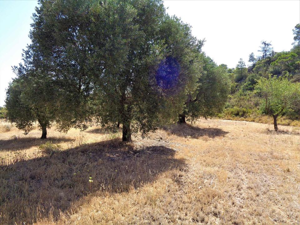 Finca i Maella, Zaragoza - foto 4