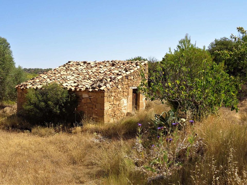 Finca i Maella, Zaragoza - foto 5
