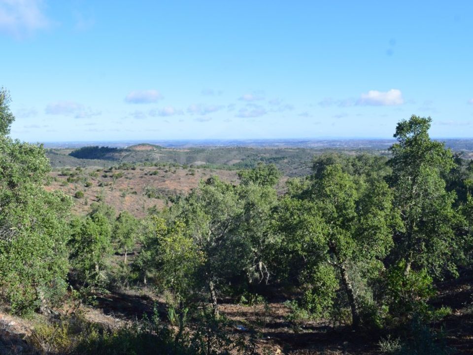 Terra a Almodovar, Beja - foto 1