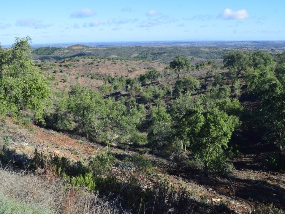 Terra a Almodovar, Beja - foto 2