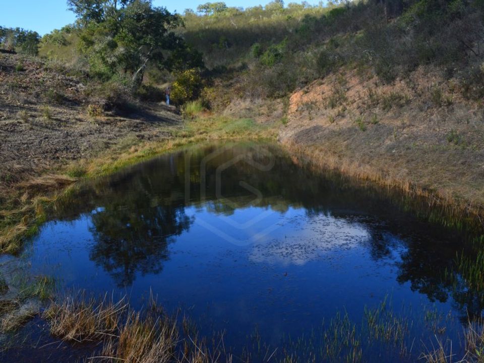 Terra a Almodovar, Beja - foto 3