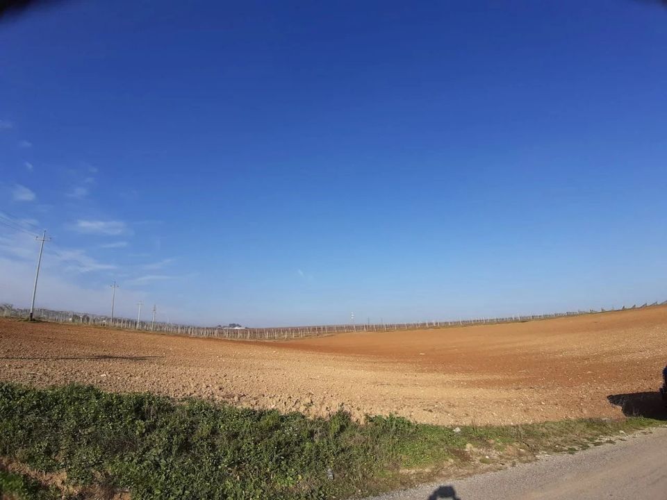 Helårsgrund i Citta Sant'Angelo, Pescara - foto 2