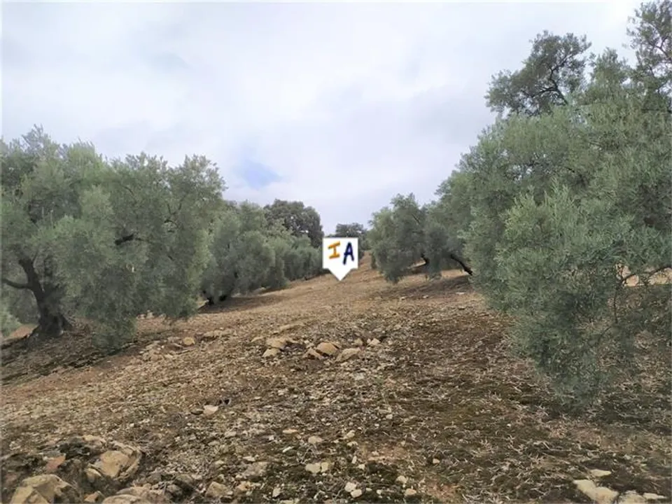 Cortijo i Iznajar, Cordoba - foto 2