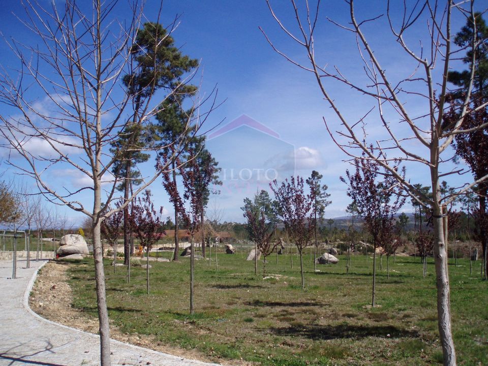 Farm i Viseu, Viseu - foto 4
