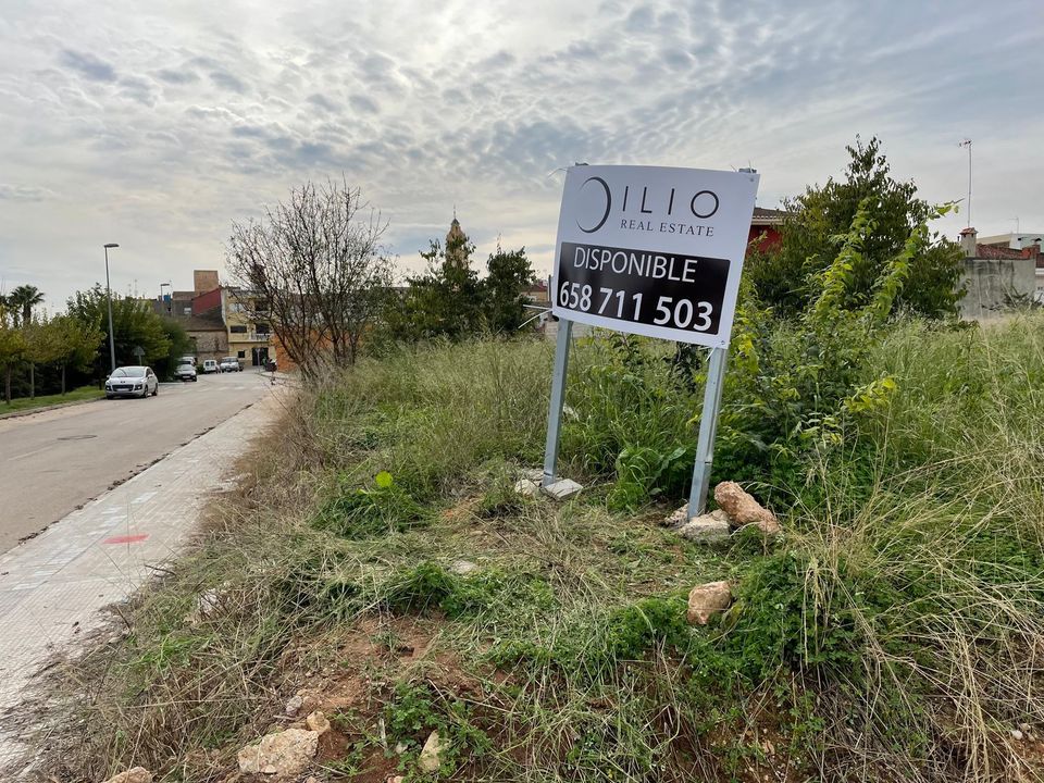 Terra a Alfarp, Valencia - foto 1