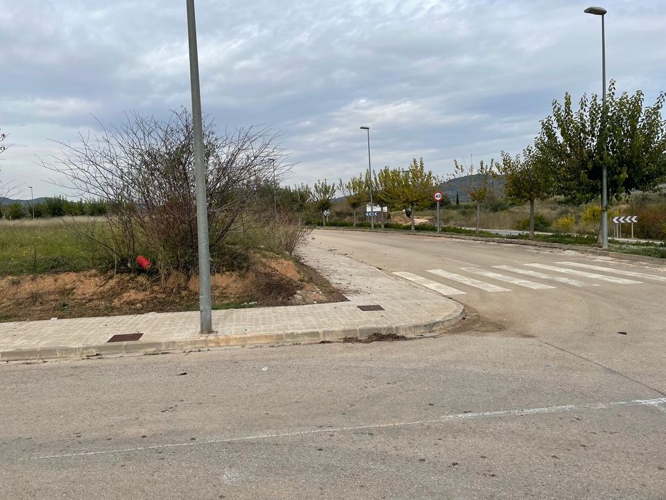 Terra a Alfarp, Valencia - foto 3