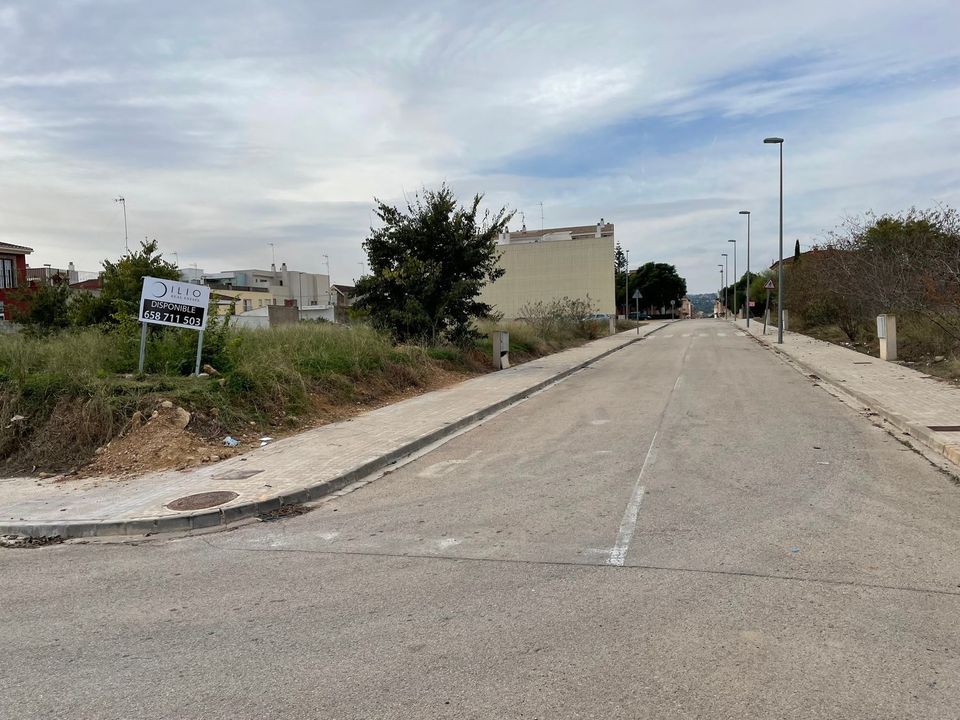 Terra a Alfarp, Valencia - foto 4