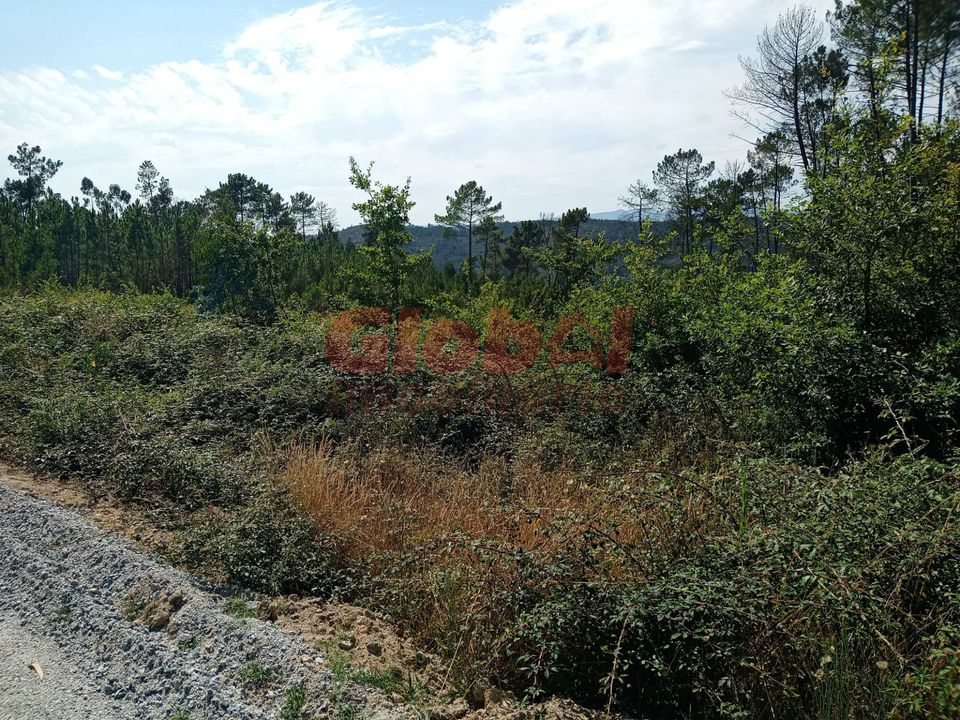 Helårsgrund i Viseu, Viseu - foto 2