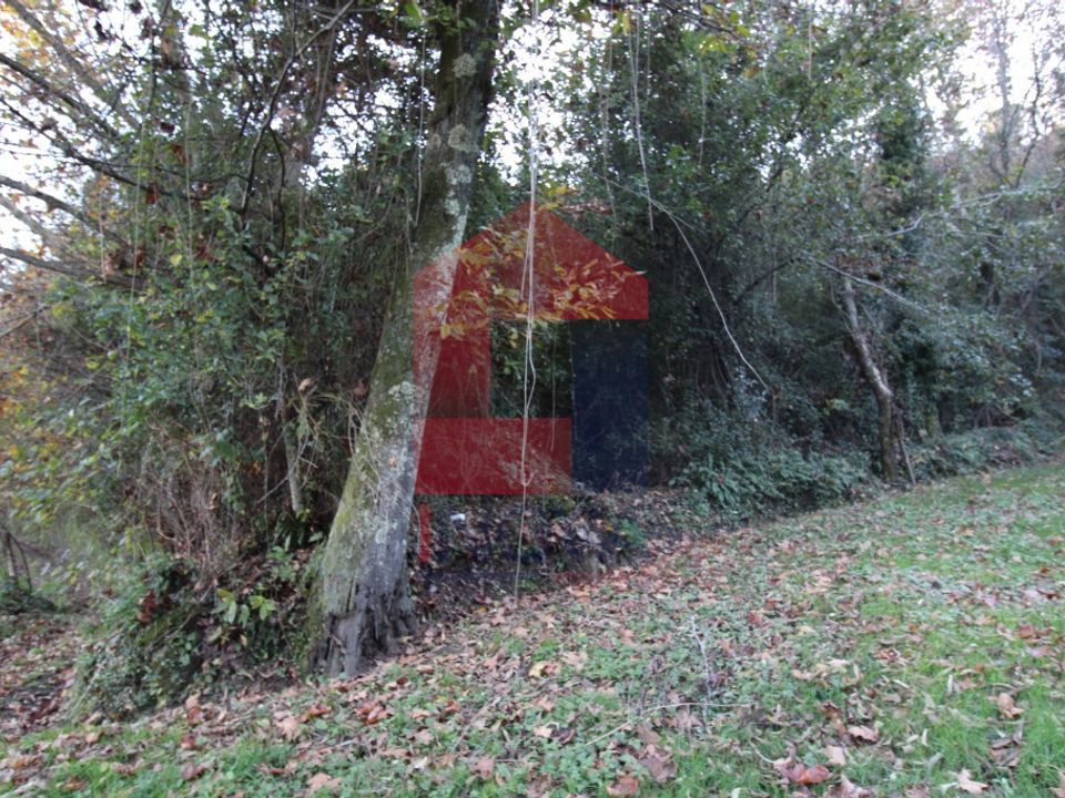 Helårsgrund i Vila Verde, Braga - foto 2