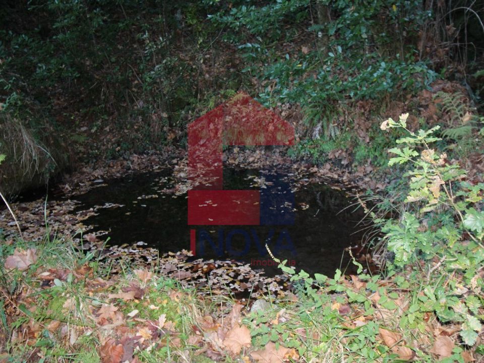 Helårsgrund i Vila Verde, Braga - foto 3