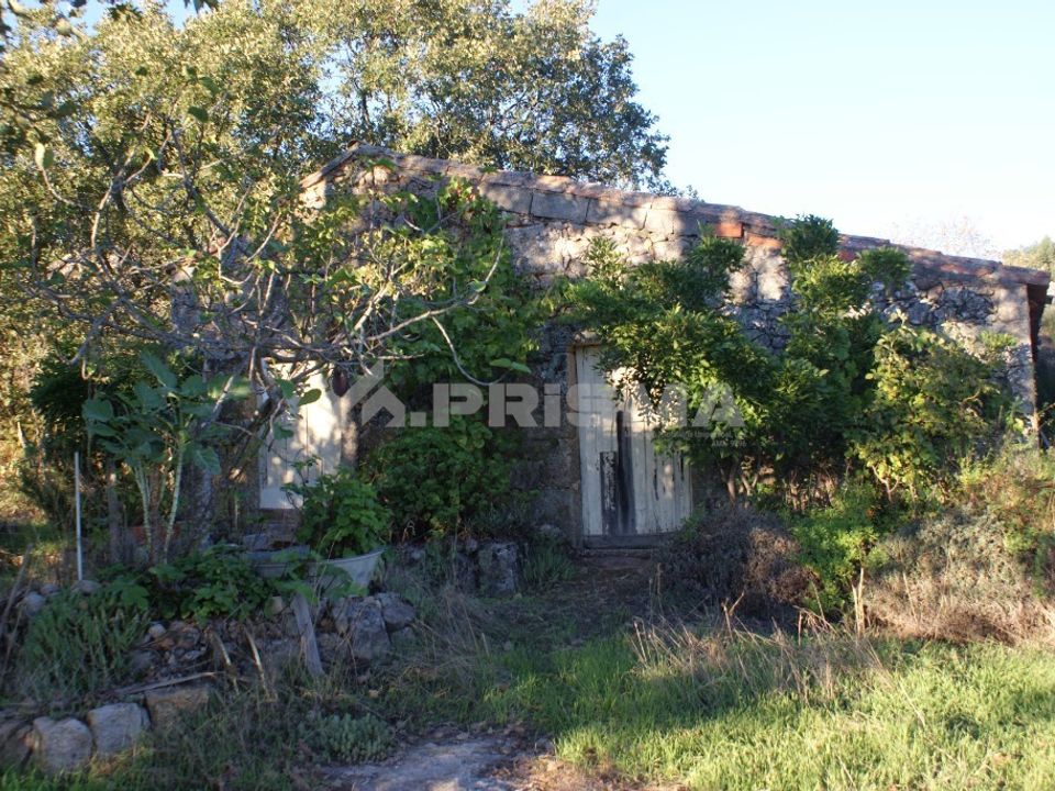 Terra a Penamacor, Castelo Branco - foto 1