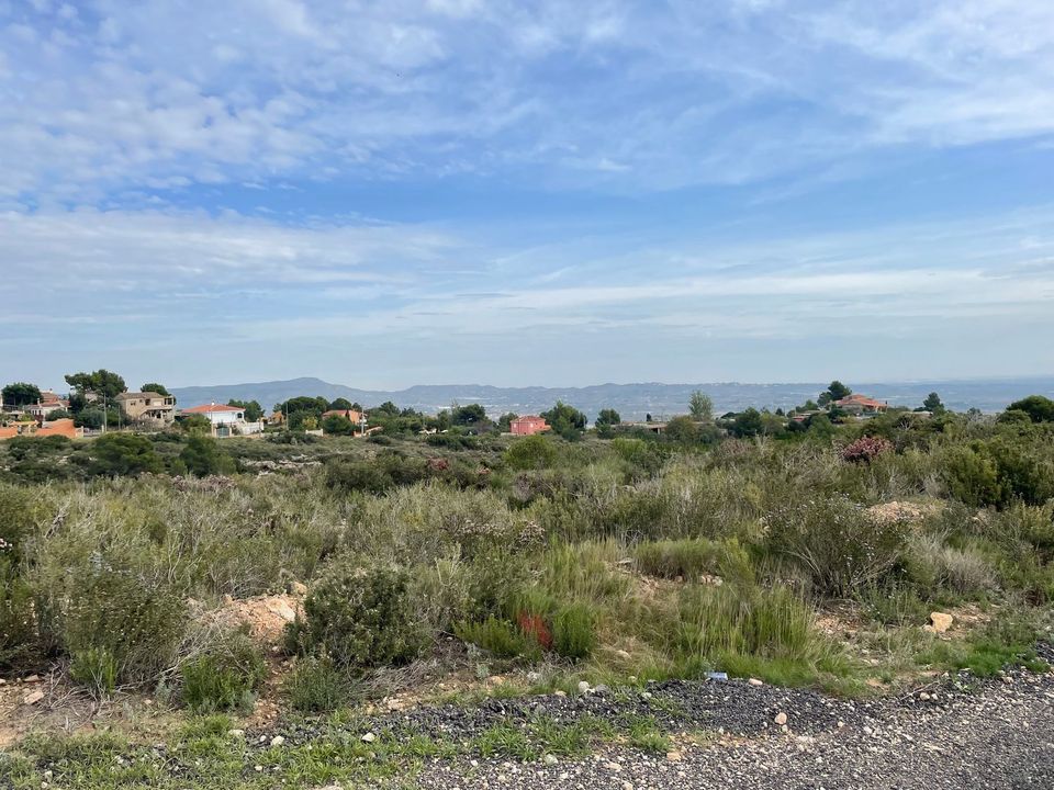 Terra a Catadau, Valencia - foto 1