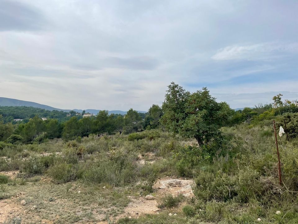Terra a Catadau, Valencia - foto 2