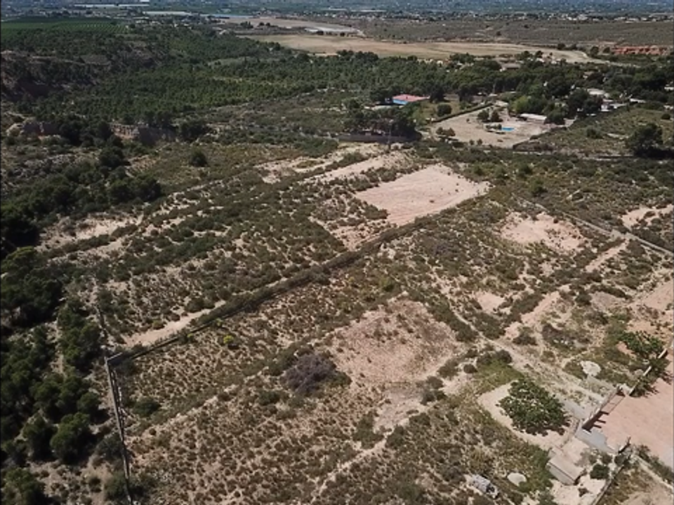 Helårsgrund i Crevillent, Alicante - foto 3