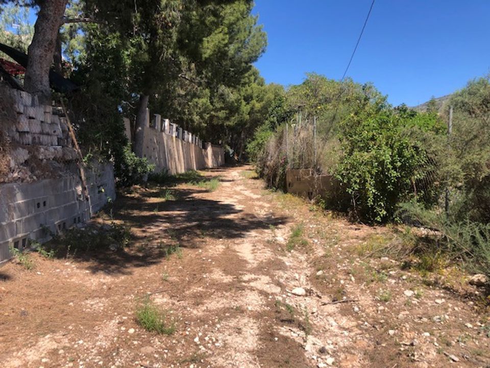 Helårsgrund i Crevillent, Alicante - foto 2