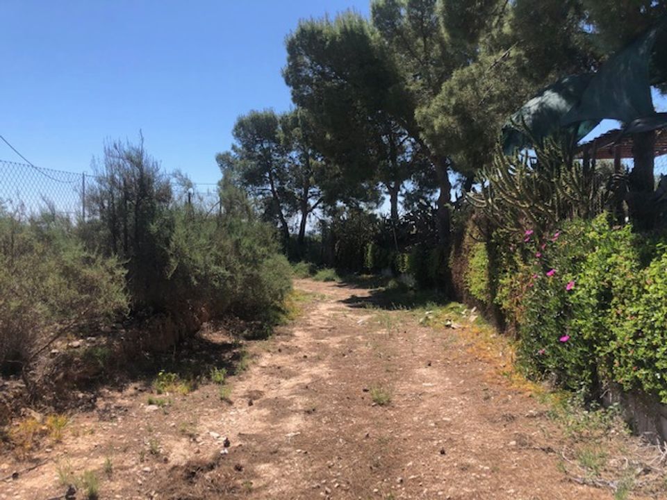 Helårsgrund i Crevillent, Alicante - foto 1