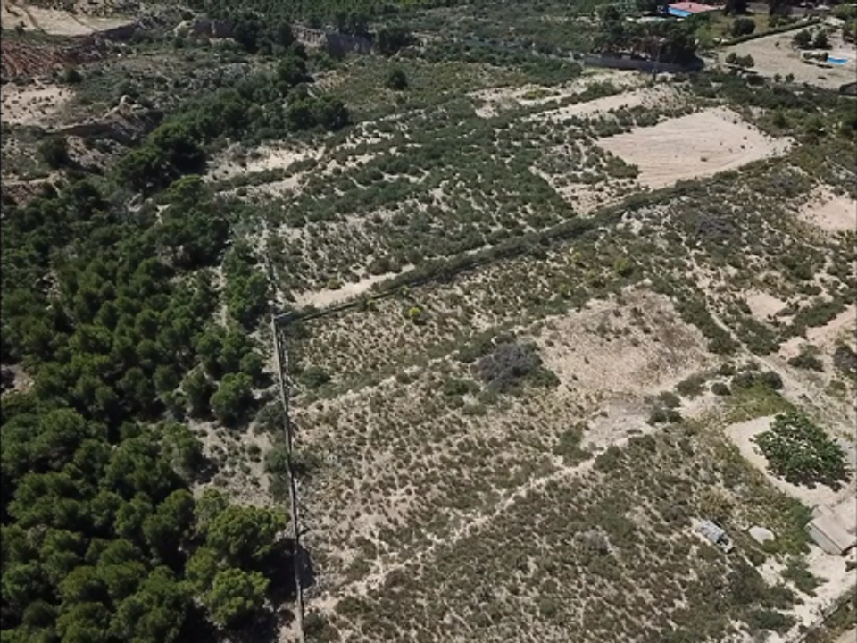 Helårsgrund i Crevillent, Alicante - foto 5