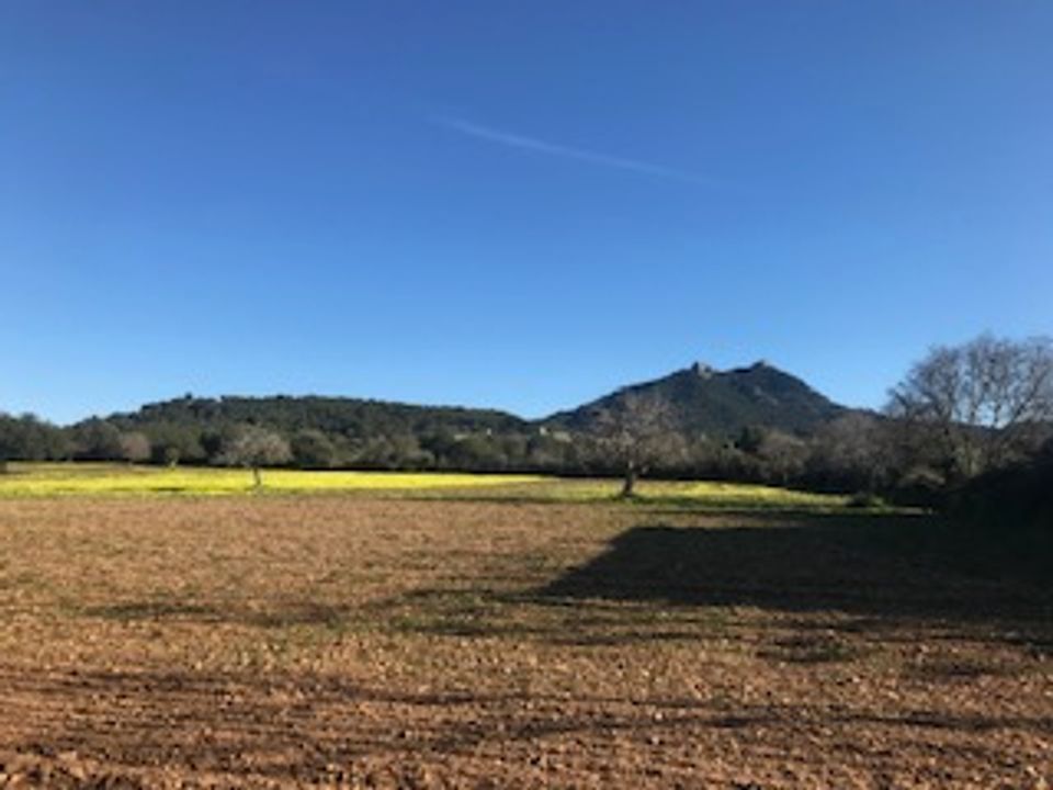 Helårsgrund i Felanitx, Mallorca - foto 1
