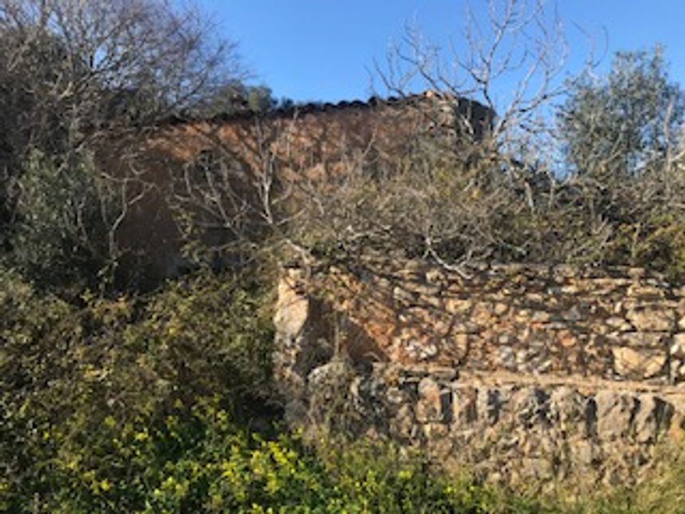 Helårsgrund i Felanitx, Mallorca - foto 5