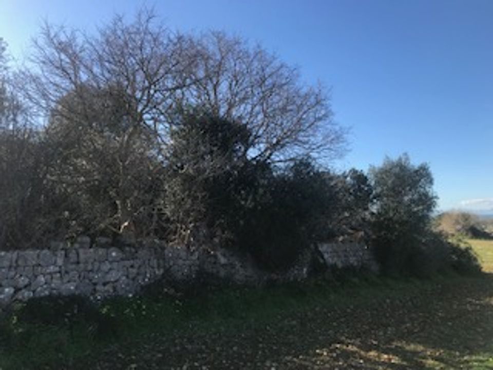 Helårsgrund i Felanitx, Mallorca - foto 4