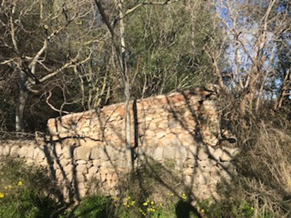 Helårsgrund i Felanitx, Mallorca - foto 3